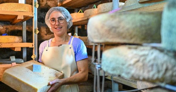 Vosges. La Bresse : le Cœur de massif, fromage fermier au lait de vaches vosgiennes, fête ses dix ans