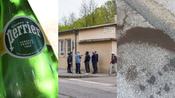 Perrier investit pour l'avenir, nouvelle expertise pour Olivier H, invasion de punaises agricoles : l'essentiel de l'actu en région