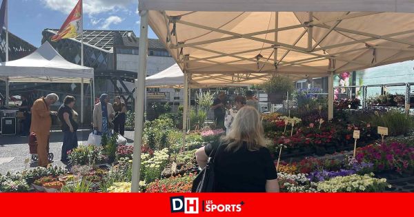 Le marché de Herstal a 100 ans : rencontres avec les marchands et leurs habitués venus célébrer cet anniversaire