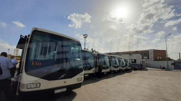 شركة نقل تونس: إنطلاق استغلال 10 خطوط حافلات خاصة بالشواطئ