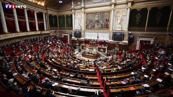 La création d'un "CDI senior" approuvé par l'Assemblée | TF1 INFO