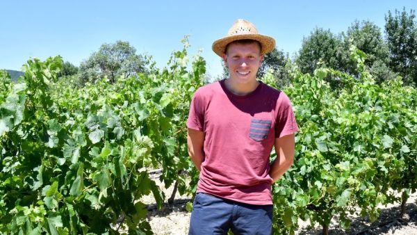 Jeunes Agriculteurs : "En donnant 15 millions à la filière viticole sud-africaine, on nous prend pour des cons !"