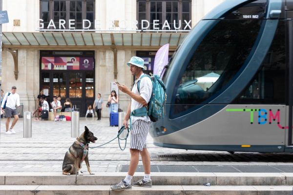 Partir en vacances avec son animal de compagnie : cinq conseils pour éviter les galères