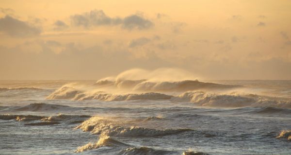 Comment reconnaître un courant d'arrachement et éviter le danger en mer
