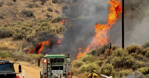 Californie. Près de 150 km2 ravagés, 200 personnes évacuées... Les pompiers luttent contre le plus gros incendie de l'année