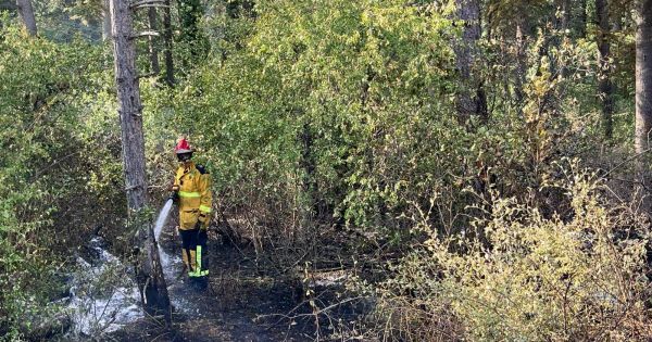 Mercurey. 5 000 m2  de forêt partent en fumée : un mégot à l'origine ?