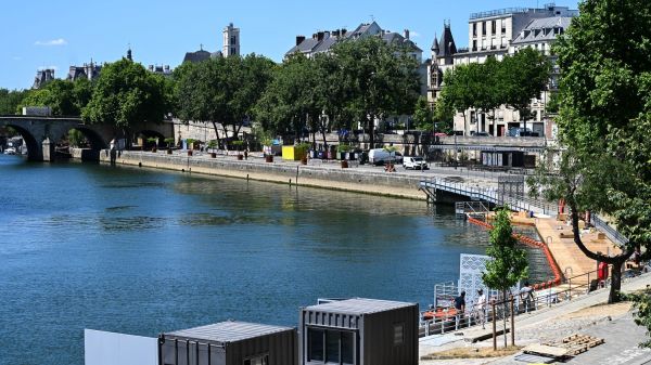 Baignade dans la Seine : le retour de certaines espèces aquatiques confirme l'amélioration de la qualité de l'eau du fleuve