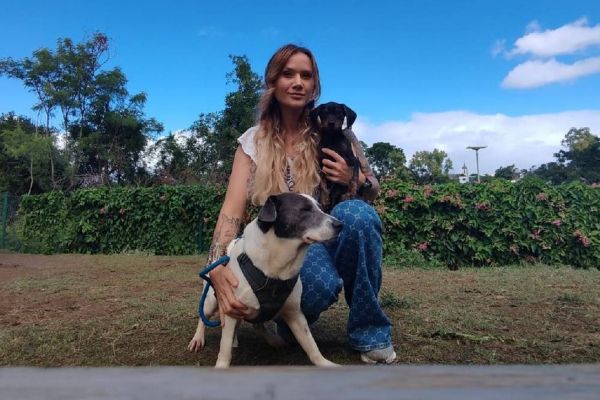 "Ils vont mourir si on ne les sort pas de la fourrière". Cette association vient en aide aux nombreux chiens errants de La Réunion