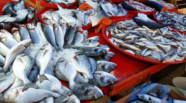 UTAP: Les produits de la mer péchés ou élevés respectent toutes les conditions sanitaires