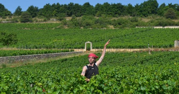 Puligny-Montrachet. Voyage artistique et ludique au cœur du vignoble pour les 10 ans des Climats