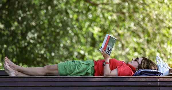 Culture. Quels livres dévorer pendant les vacances d'été ? Quelques conseils lecture