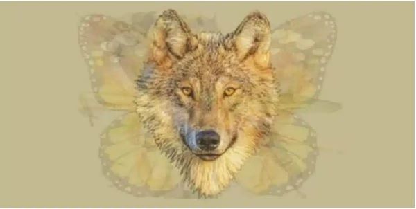 Test de personnalité : Quel animal voyez-vous en premier ?