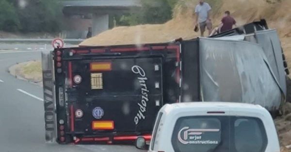 Loire. Une bétaillère se renverse sur l'A89 : le conducteur blessé, des bovins morts et une déviation mise en place