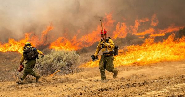 Avec plus de 213 km² brûlés en vingt-quatre heures, la Californie subit son plus gros incendie de l'année