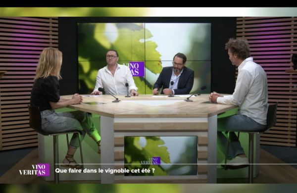 [REPLAY] “Vino Veritas” : que faire dans le vignoble girondin cet été ?