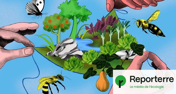 « S'occuper d'un potager, un joyeux fil à la patte »