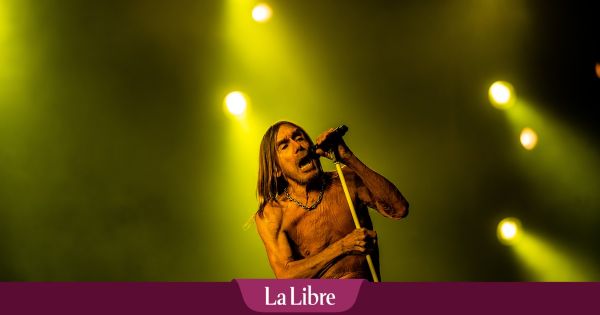 A Rock Werchter 2025, le sourire carnassier d'Iggy Pop, un moment carrément magique et  Linkin Park éclipsé