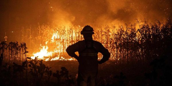 Feux de forêt : comment une structure nationale pourrait aider à mieux les gérer