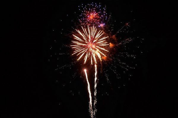 14 juillet : les feux d'artifice sont un danger pour vos animaux de compagnie, attention !