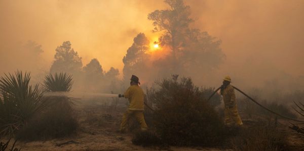 Feux dévastateurs aux États-Unis: La Californie subit son plus gros incendie de l'année