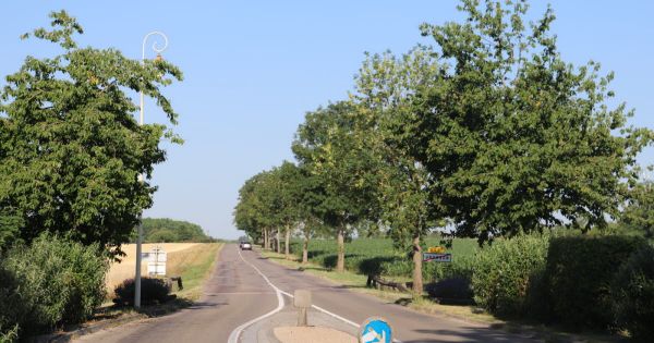 Côte-d'Or. Phénomène de "ressuage" sur les routes de Côte-d'Or : plusieurs communes concernées