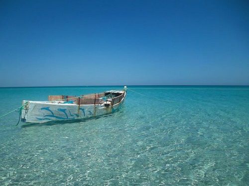 Fausse alerte : les plages tunisiennes au cœur d'une vague de rumeurs