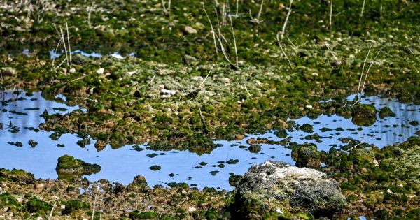 Franche-Comté. « Un déficit de pluie de 25 à 50 % » : le Doubs passe en alerte sécheresse