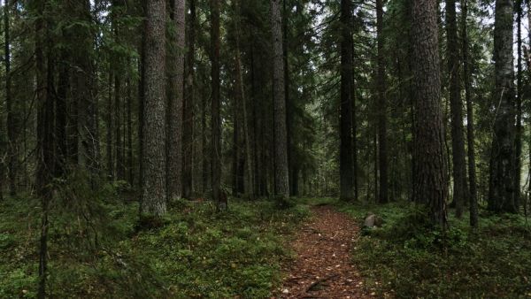 Elle affirme avoir été droguée par soumission chimique et agressée sexuellement... une enquête ouverte pour retrouver les agresseurs