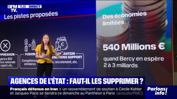 Budget: un rapport sénatorial propose de supprimer ou fusionner certaines agences de l'État