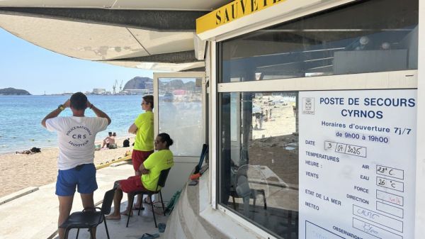 Avec une eau à 27 °C à La Ciotat, des plagistes décontenancés mais pas découragés