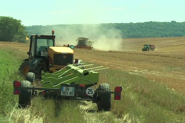 "Le travail d'une année peut être saccagé en une demi-heure" : les agriculteurs s'empressent de gérer des moissons précoces dans l'Oise