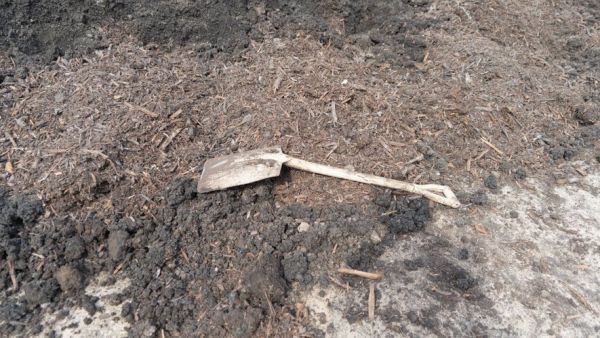 Elle avait mystérieusement disparu depuis des années : le corps d'une vieille femme retrouvé enterré dans son jardin