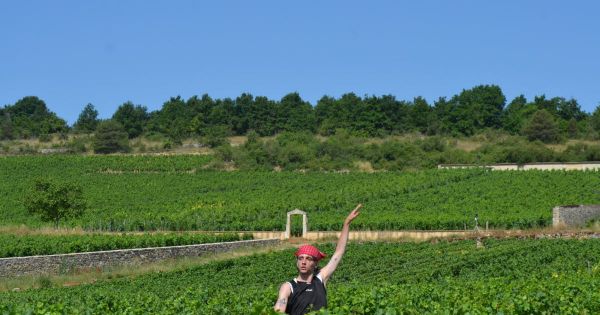 Puligny-Montrachet. Dix ans des climats de Bourgogne à l'Unesco : suivez avec nous cette journée exceptionnelle