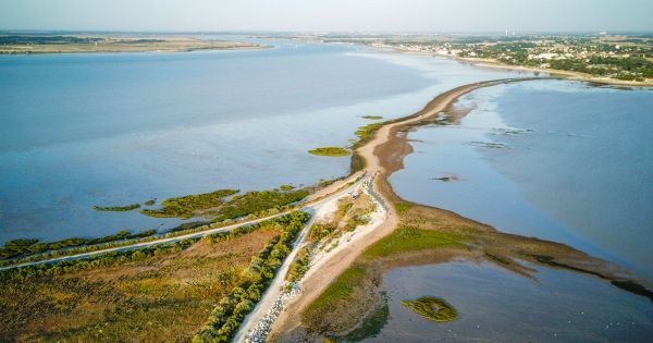 En plein cœur de l'estuaire de la Charente, cette petite île préservée est accessible à marée basse