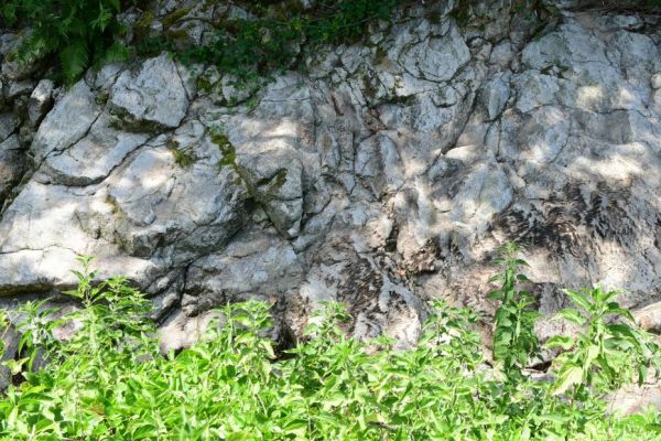 Sécheresse : plusieurs secteurs de la Savoie placés en alerte, des restrictions d'eau mises en place