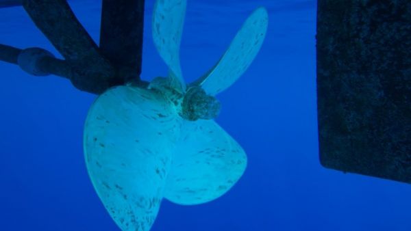 Les vacances de rêve virent au cauchemar : un père de famille manque de perdre ses fesses après avoir été percuté par une hélice de bateau