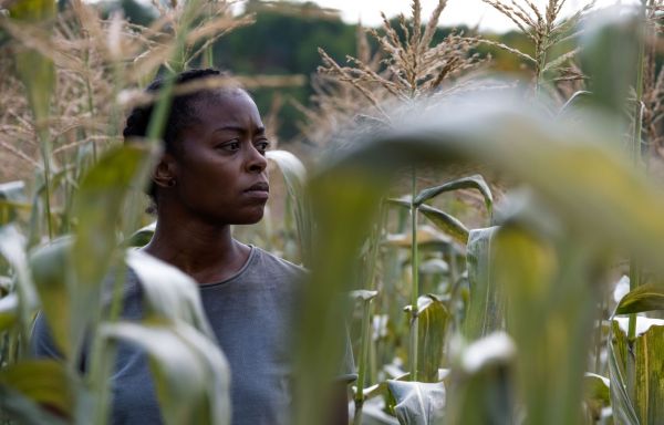 «40 Acres»: la post-apocalypse responsable