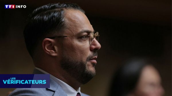 VÉRIF' - Le député LFI Sébastien Delogu a-t-il fait la promotion d'une agence touristique privée à Alger ?  | TF1 INFO