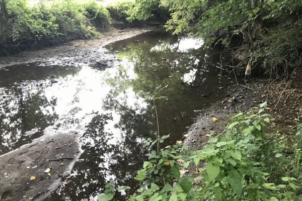 Sécheresse : deux bassins versants de Loire-Atlantique placés en "niveau crise"