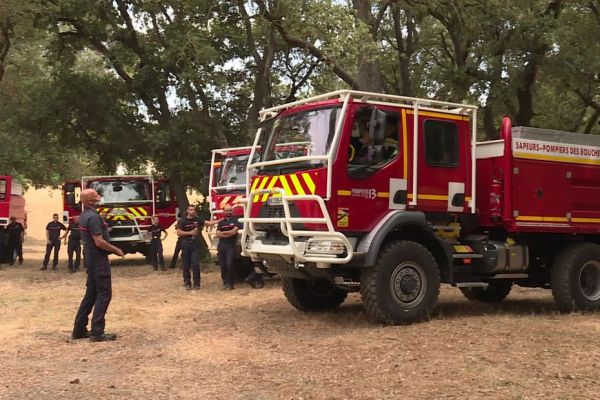 Massifs forestiers fermés, travaux interdits, pré-positionnement des pompiers : les Bouches-du-Rhône sous haute surveillance face aux risques d'incendie