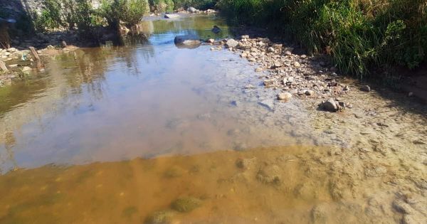 Métropole de Lyon. «Des dizaines de milliers de poissons sont morts»: la rivière l'Yzeron subit une nouvelle pollution d'ampleur