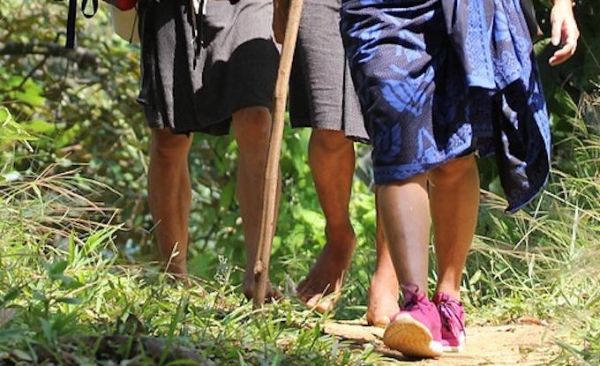 Randonnée : plusieurs sentiers rouverts au public