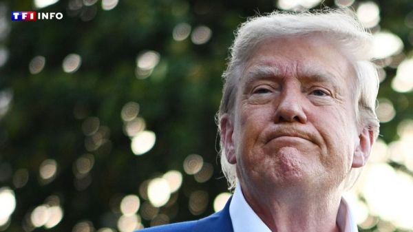 Donald Trump fait un rare aveu d'impuissance sur une trêve en Ukraine : autopsie d'un échec de plus en plus annoncé | TF1 INFO