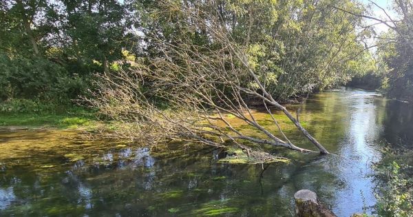Côte-d'Or. Sécheresse : la préfecture impose de premières restrictions des usages de l'eau