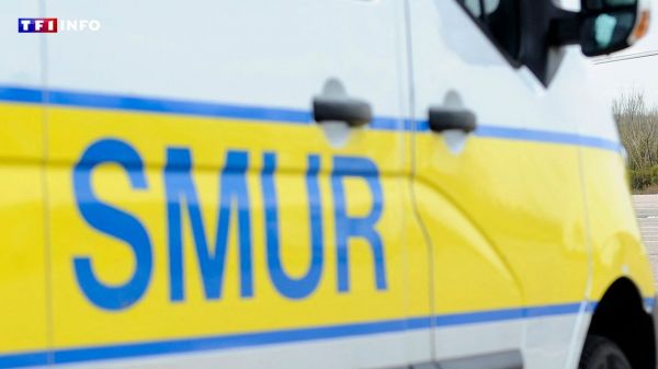 Trois noyades dans l'ouest de la France aujourd'hui, dont deux mortelles | TF1 INFO