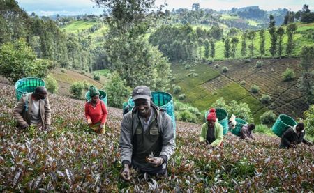 Kenya : la croissance économique a atteint 4,9% au 1er trimestre 2025