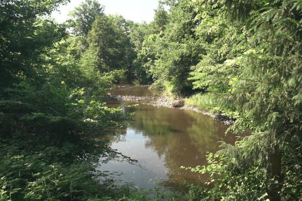 Sécheresse : la Saône-et-Loire manque d'eau, des restrictions mises en place