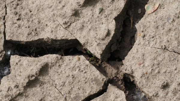 "On dirait que ça tremble tout le temps" : 900 séismes recensés en deux semaines, le quotidien infernal des habitants d'une chaîne d'îles japonaises