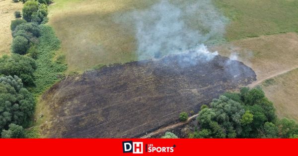 Une prairie située à côté du parc du Scheutbos en feu cet après-midi à Molenbeek : 12 000 m2 de végétation partent en fumée (PHOTOS)
