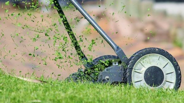 Pelouse parfaite : à quelle fréquence faut-il tondre son gazon ?